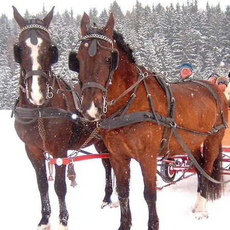 Prázdninový dům Ferienhaus Hirschalm *