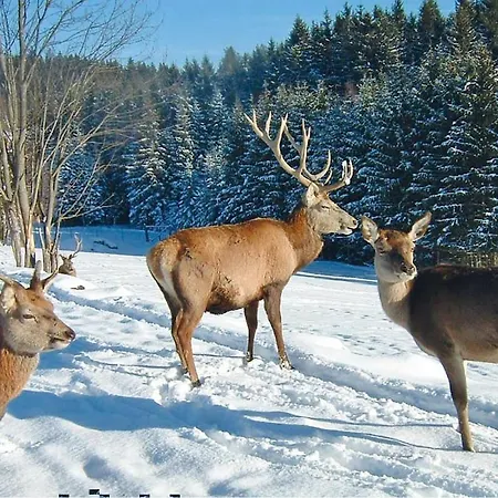 Ferienhaus Hirschalm